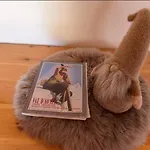 Lägenhet Coeur De Montagne *